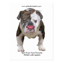 Palin Pit Bull with Lipstick Postcard