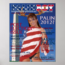 PALINBOY - Post Election Issue - Nov. 2008 Poster