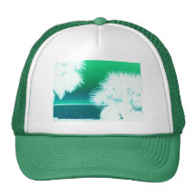 Palm Snow Trucker Hats