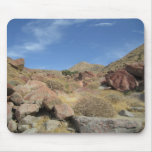 Palm Springs Mousepads