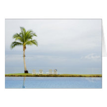 Palm tree by a swimming pool card