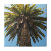 Palm Tree Tiles