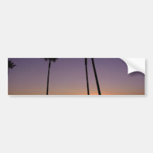 Palm Trees And Sunrises Bumper Stickers
