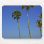 Palm Trees At Venice Beach Mouse Pads
