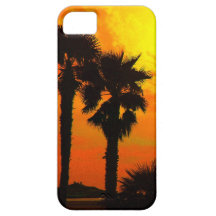 palm trees iPhone 5 cases