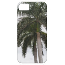 Palm Trees iPhone 5 Covers