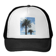 palm trees mesh hats