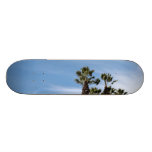 Palm Trees Skate Board Decks
