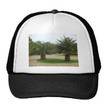 Palms Mesh Hats