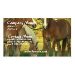 Palomino Draught   Horses Business Card