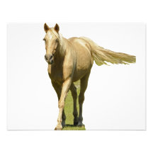 Palomino Horse Personalized Invite