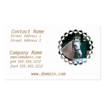 Palomino Paso Fino Business Card 