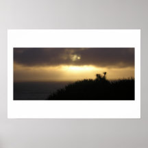 Pancake rocks at dusk, West Coast NZ Print