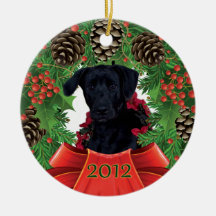 Pancho 2012 Holiday Ornament