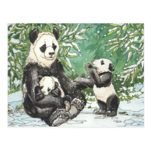 Panda Bear Family in Winter Post Card