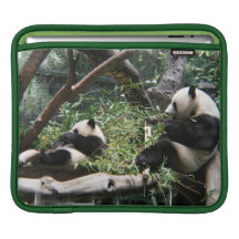 Panda Bears iPad Sleeve