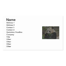 Panda Business Card