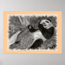 Panda Play Champagne Print