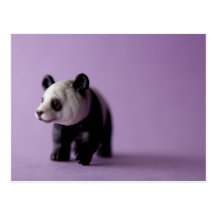 Panda Postcard