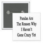 Pandas Are The Reason Why I Haven't Gone Crazy Yet Buttons
