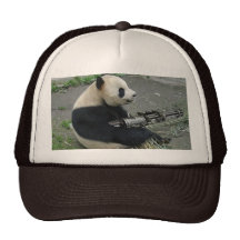 panda's need guns hats