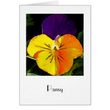 Pansy Cards