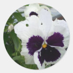 Pansy Flower Stickers