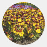 Pansy Flower Stickers
