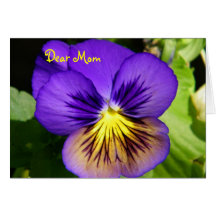 Pansy Mother's Day Card