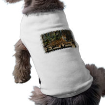 Panthera Jaguar Pet Shirt
