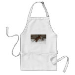 Panthera_tigris_altaica_30_-_Buffalo_Zoo Aprons