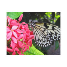 Paper Kite Butterfly Gallery Wrap Canvas