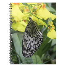 Paper Kite Butterfly Notebook