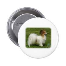 Papillon 8T005D-24 Pins