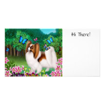 Papillon in Garden Photo Card