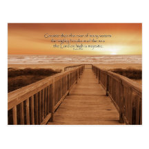 paradise postcard