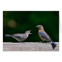 parenthood greeting cards