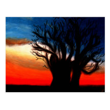 Pari Chumroo Baobob Tree Postcard
