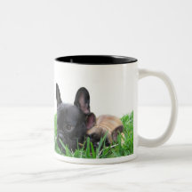 Paris and Monaco in the grass Mug