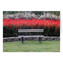 Park Bench Card