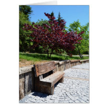 Park Bench Card