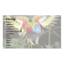 Parrot Business Card