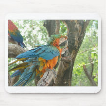 Parrot Mouse Mats