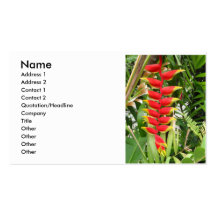 Parrot's Beak Helicona Business Card Templates