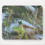 Parrots Mouse Pad