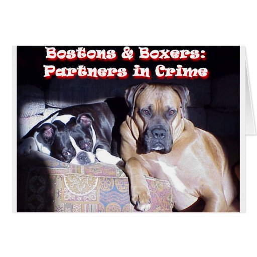 Partners in Crime Card