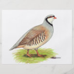 Partridge:  Chukar Personalized Flyer