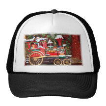 Pasadena 112710 010 vig hats