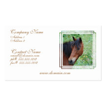 Paso Fino Business Cards