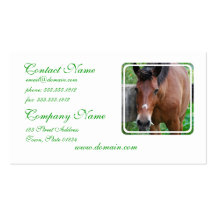 Paso Fino Horse Business Card